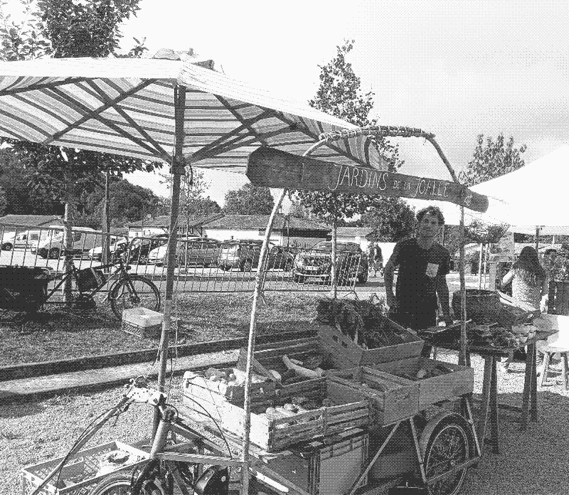 charrette maraicher marché paysan distance livrance solide inox nouvelle aquitaine.jpeg